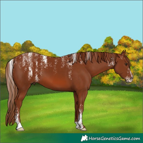 Horse Color:Powder White Chestnut 