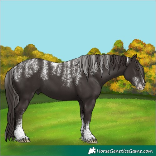 Horse Color:Powder White Liver Chestnut 