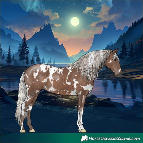Horse Color:White Spotted Silver Black