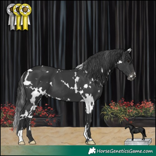 Horse Color:White Spotted Black Varnish 