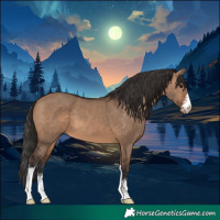 Horse Color:Brown Dun Sabino