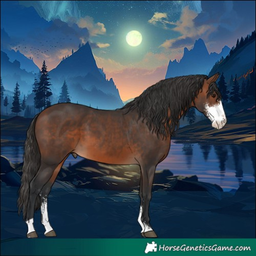 Horse Color:Brown Sabino 
