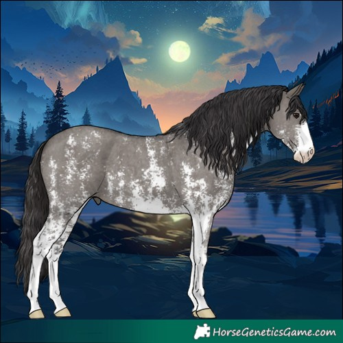 Horse Color:Smoky Grullo Sabino 