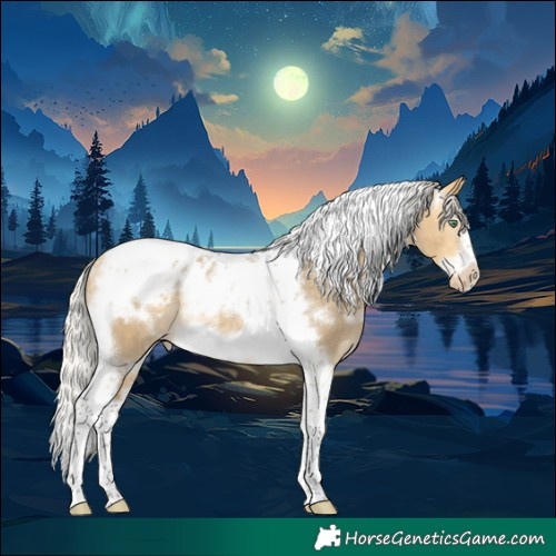 Horse Color:White Spotted Silver Buckskin Dun Tobiano Frame Appaloosa Rabicano 