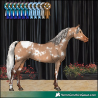 Horse Color:White Spotted Silver Bay Dun Snowcap Rabicano