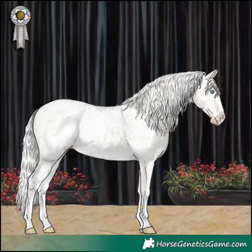 Horse Color:White Spotted Silver Perlino Dun Splash Near Leopard Rabicano 