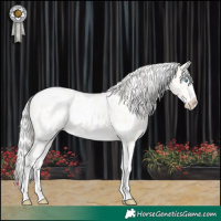 Horse Color:White Spotted Silver Perlino Dun Splash Appaloosa Rabicano