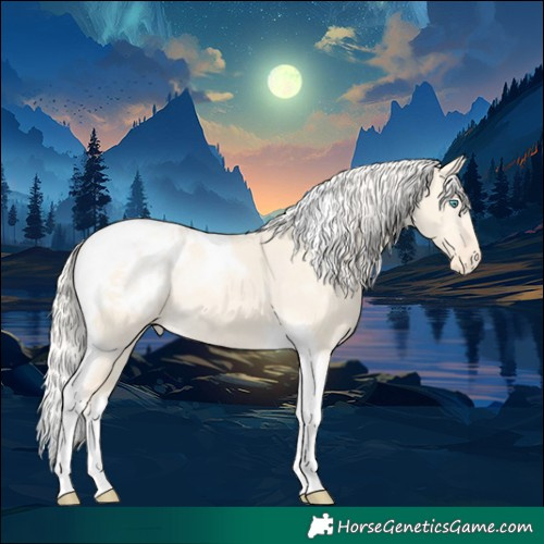 Horse Color:Cremello Dun Tobiano Appaloosa Rabicano 