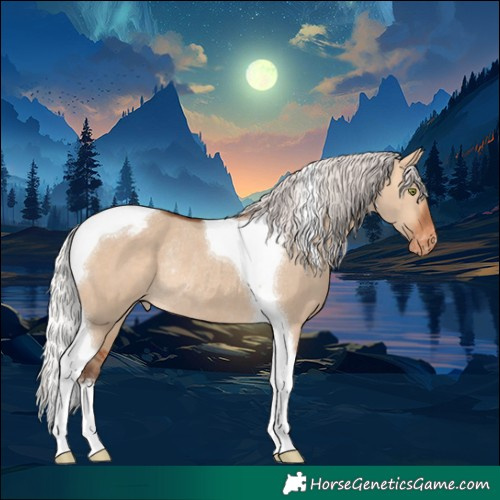 Horse Color:Silver Bay Dun Tobiano Appaloosa Rabicano