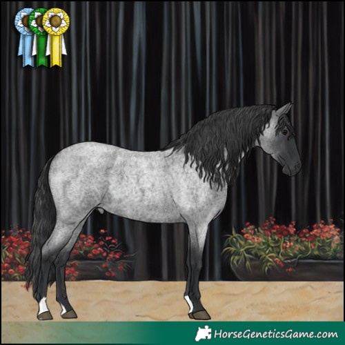 Horse Color:Blue Roan 