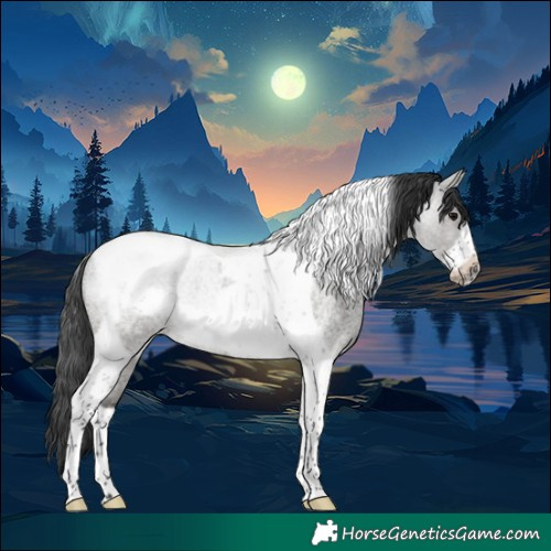 Horse Color:Blue Roan Tobiano Frame 