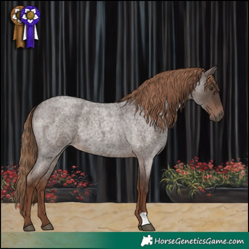 Horse Color:Liver Red Roan 