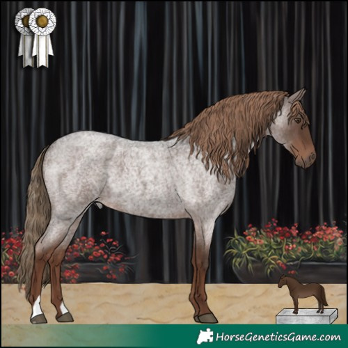 Horse Color:Liver Red Roan 