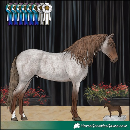 Horse Color:Liver Red Roan 