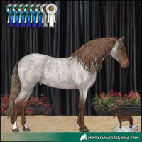 Horse Color:Liver Red Roan