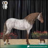 Horse Color:Liver Red Roan