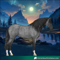 Horse Color:Blue Roan