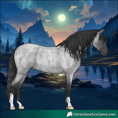 Horse Color:Blue Roan 