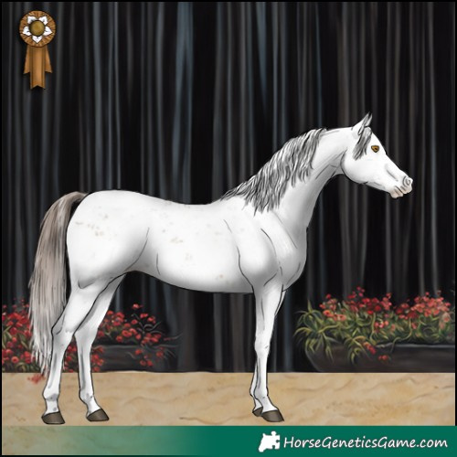 Horse Color:Bay Dun Sabino Varnish 