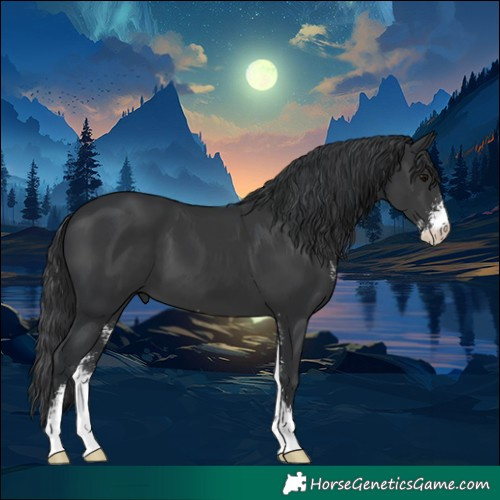Horse Color:Black Sabino