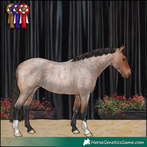Horse Color:Bay Roan Rabicano