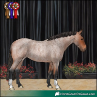Horse Color:Bay Roan Rabicano