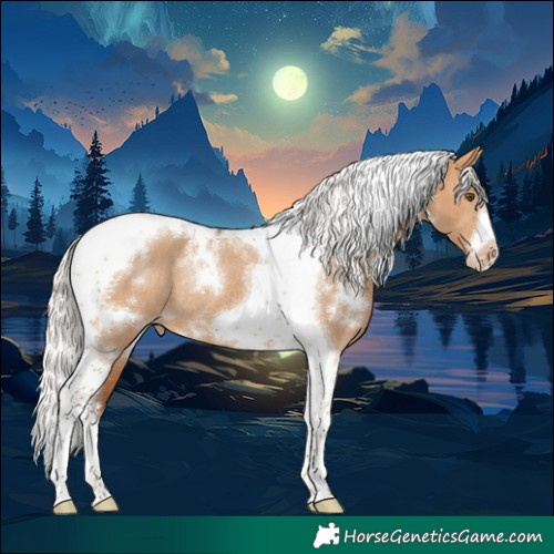 Horse Color:White Spotted Silver Bay Dun Tobiano Frame Appaloosa Rabicano 