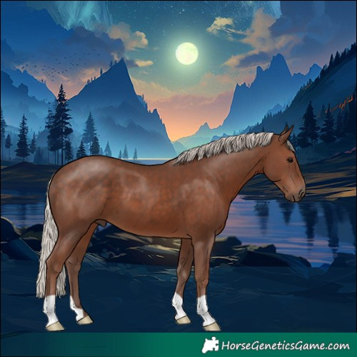 Horse Color:Silver Black 