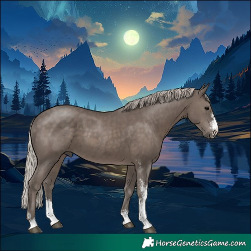 Horse Color:Silver Black Sabino 