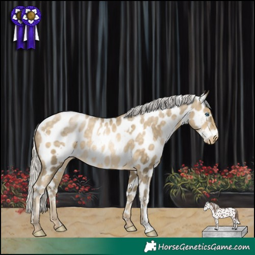 Horse Color:White Spotted Silver Buckskin Pearl Near Leopard Rabicano 