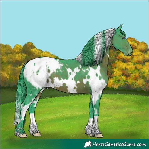 Horse Color:Watercolor White Spotted Liver Chestnut Appaloosa 
