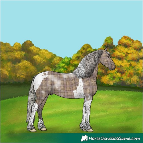 Horse Color:Plaid Silver Brown Dun Tobiano
