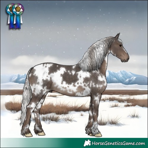 Horse Color:White Spotted Silver Black 