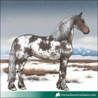 Horse Color:White Spotted Silver Black 