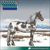 Horse Color:White Spotted Silver Black