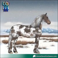 Horse Color:White Spotted Silver Black