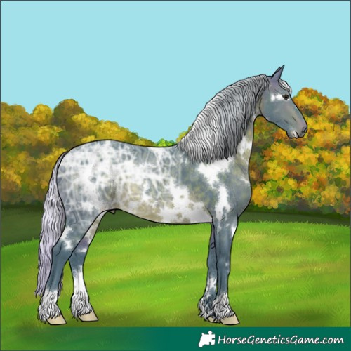 Horse Color:Watercolor White Spotted Silver Brown Ice 