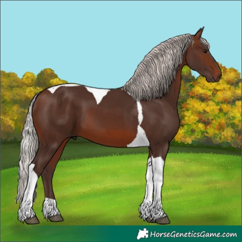 Horse Color:Silver Brown Tobiano 