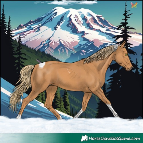 Horse Color:Chestnut Tobiano 