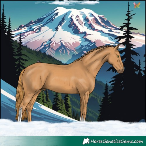 Horse Color:Chestnut Tobiano 