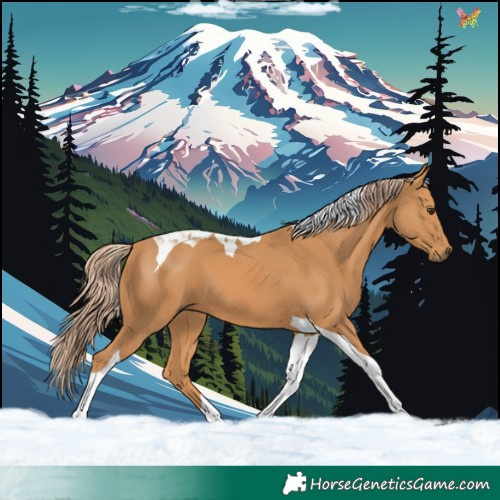Horse Color:Chestnut Tobiano 
