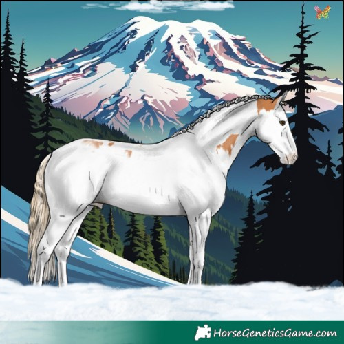 Horse Color:Chestnut Splash Tobiano 
