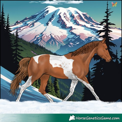 Horse Color:Chestnut Tobiano 