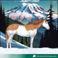 Horse Color:Chestnut Splash 