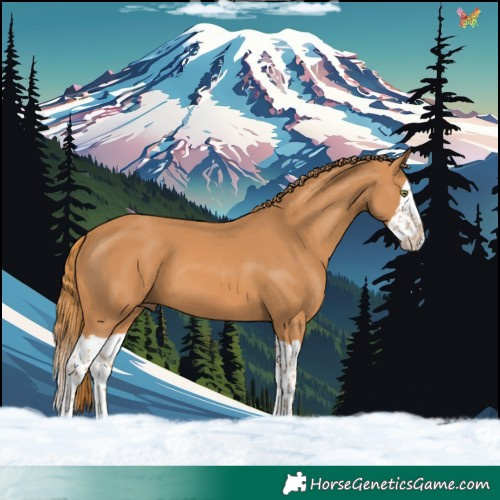 Horse Color:Chestnut Splash 