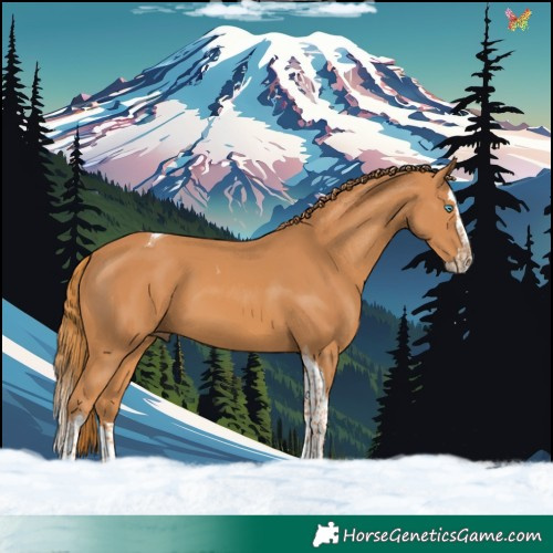 Horse Color:Chestnut Splash Tobiano