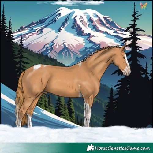 Horse Color:Chestnut Splash Tobiano