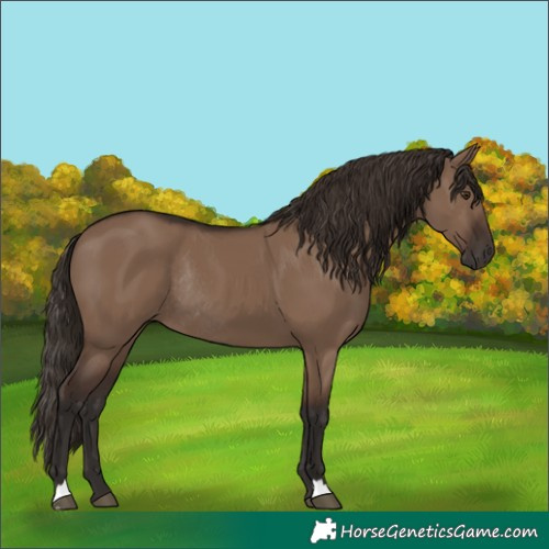 Horse Color:Liver Red Dun Rabicano 