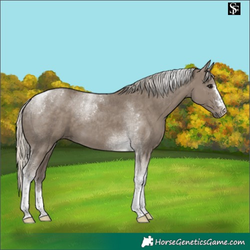 Horse Color:Silver Smoky Grullo Tobiano 