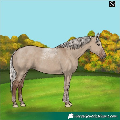 Horse Color:Silver Grullo Tobiano 